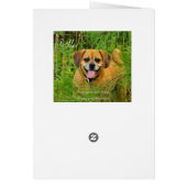 HCD_3984e, glorydaysphotography (Back)