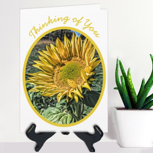 HDR Sunflower Photo Thinking of You Template