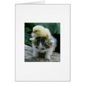 He Ain't Heavy; He's My Brother (Front)