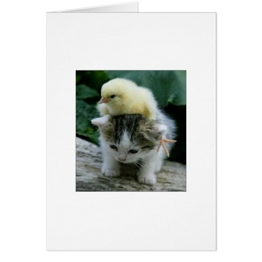 He Ain't Heavy; He's My Brother (Front)