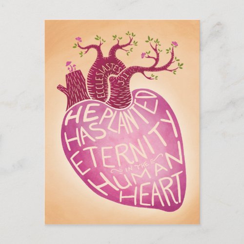 He Has Planted Eternity in the Human Heart Postcard