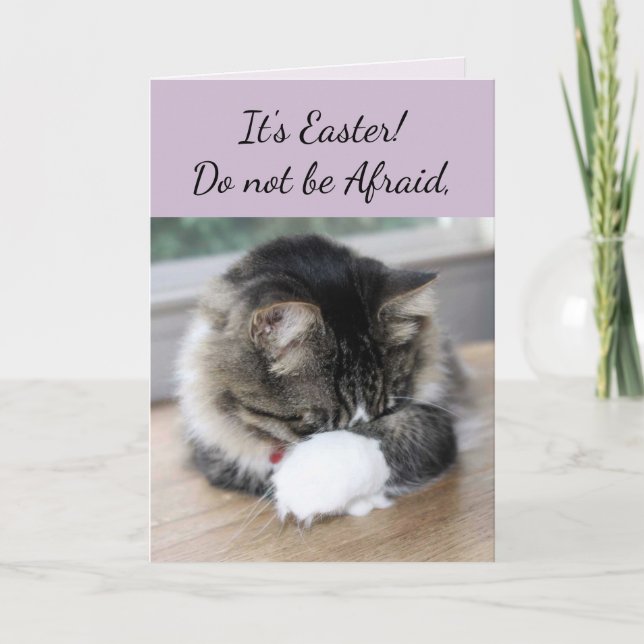 He Has Risen Kitten Easter Card (Front)