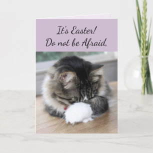 He Has Risen Kitten Easter Card