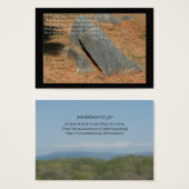 He hideth my soul ...cleft of the rock (Front & Back)