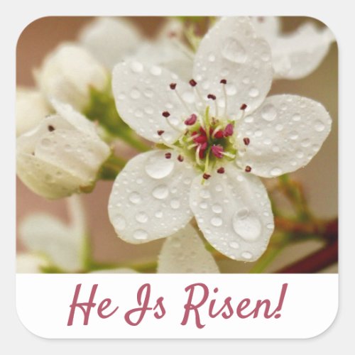 He Is Risen Resurrection Sunday  Square Sticker