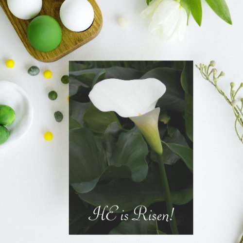 He is Risen White Calla Lily Religious Easter Holiday Card