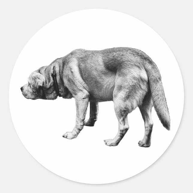 He Knows the Way Classic Round Sticker (Front)