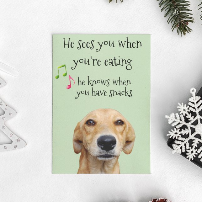 He knows When you Have Snacks Dog Christmas Card (Creator Uploaded)