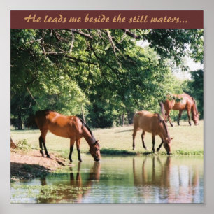 He leads me beside the still waters ... poster