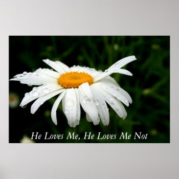 He Loves Me  He Loves Me Not Poster by kkphoto1 at Zazzle