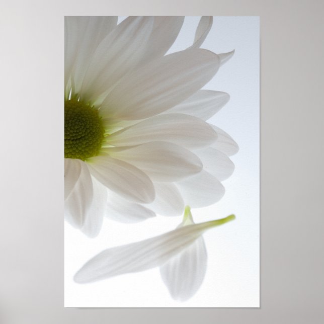 He Loves Me...He Loves Me Not Poster (Front)