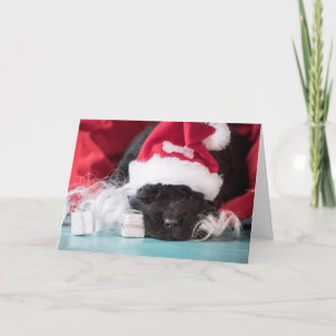 He "nose: if you've been naughty card