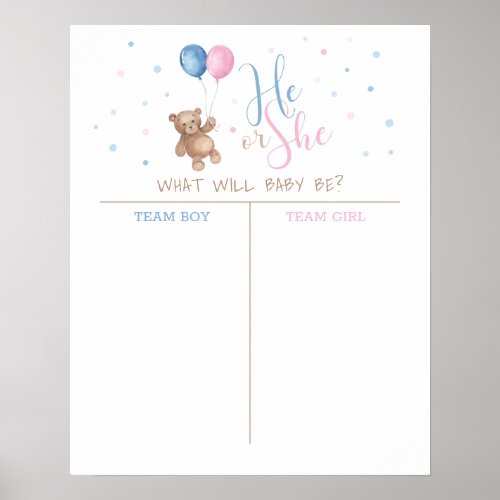 He or She Baby Gender Reveal Guess Poster