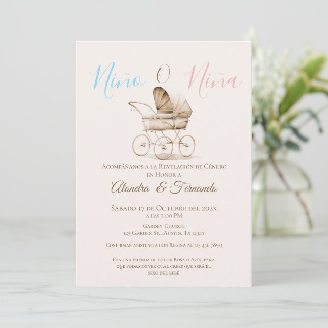 He or She Boho Baby Stroller Gender Reveal Invitat Invitation (Standing Front)