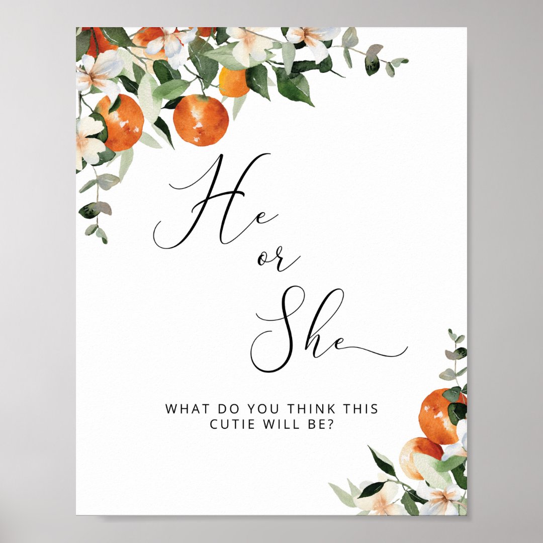 He or She little cutie gender reveal Poster | Zazzle
