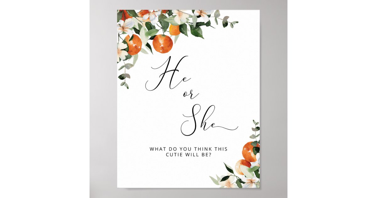 He or She little cutie gender reveal Poster | Zazzle