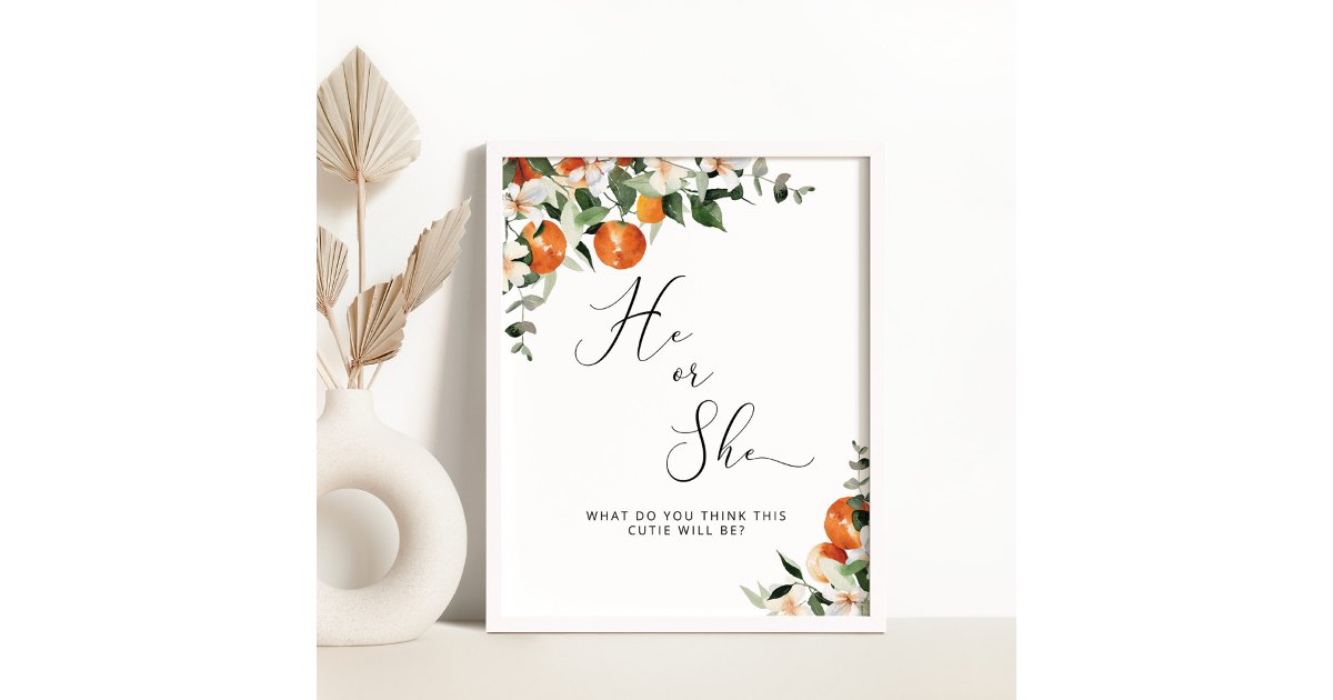 He or She little cutie gender reveal Poster | Zazzle