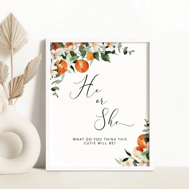 He or She little cutie gender reveal Poster | Zazzle