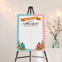 He or She Little Pumpkin Gender Reveal Cast Vote Foam Board
