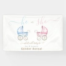 He or She, Pink or Blue Stroller Gender Reveal
