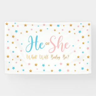 He or She Stars Gender Reveal banner sign