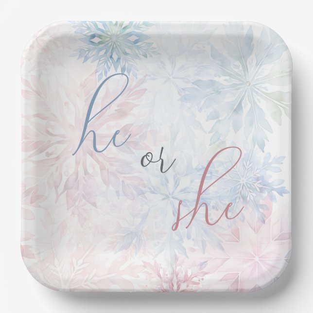 He or She Winter Pink Blue Snowflake Paper Plates (Front)