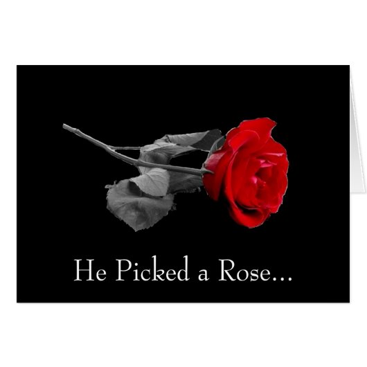 He Picked a Rose... Cards (Front Horizontal)