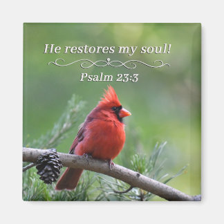 He restores my soul magnet