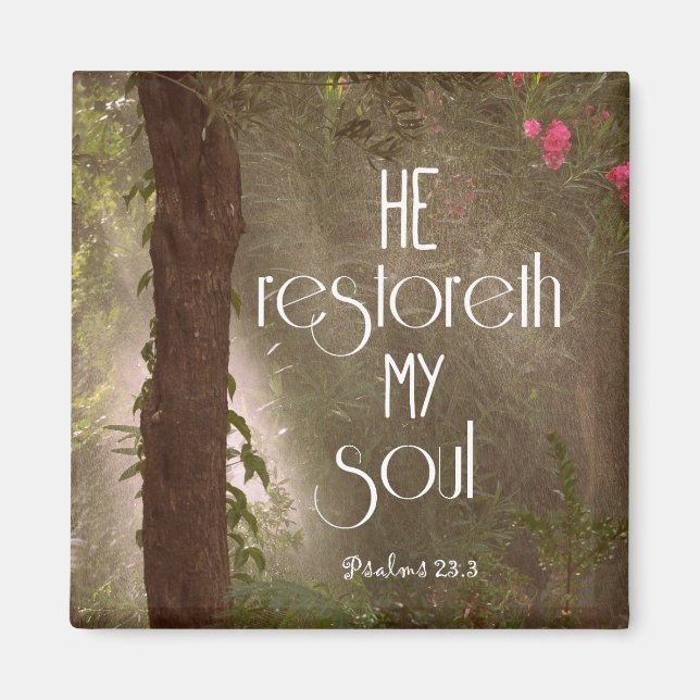He restoreth my Soul Bible Verse Magnet (Front)