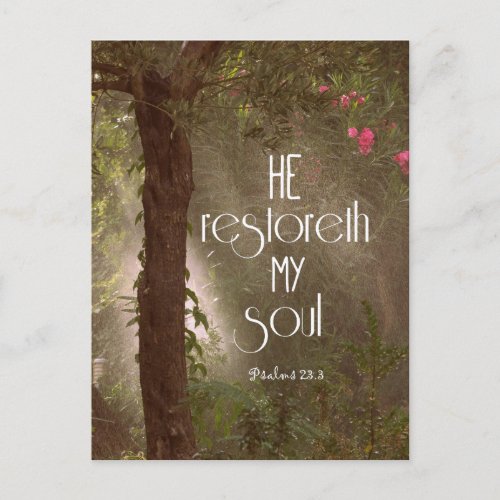 He restoreth my Soul Bible Verse Postcard