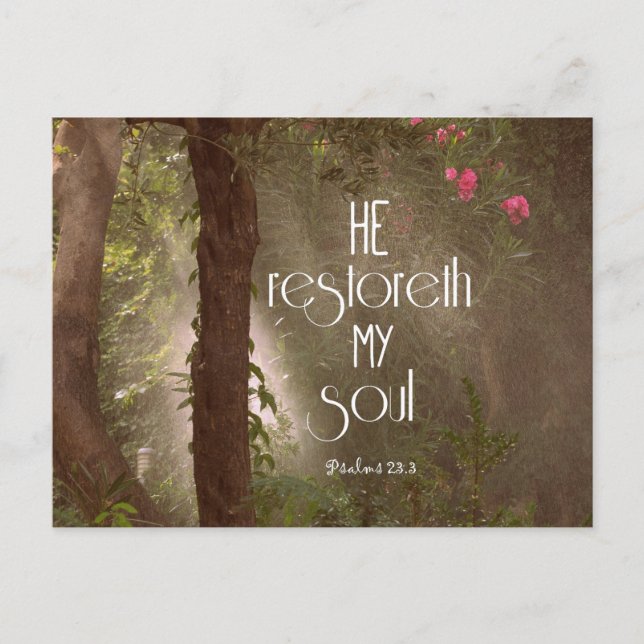 He restoreth my Soul Bible Verse Postcard (Front)