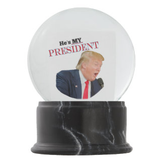 Image result for trump snow globe pics