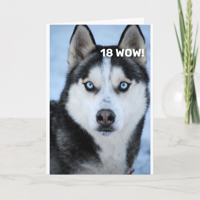 HE SAYS WHY OH WHY "21st BIRTHDAY" HUMOR Card (Front)