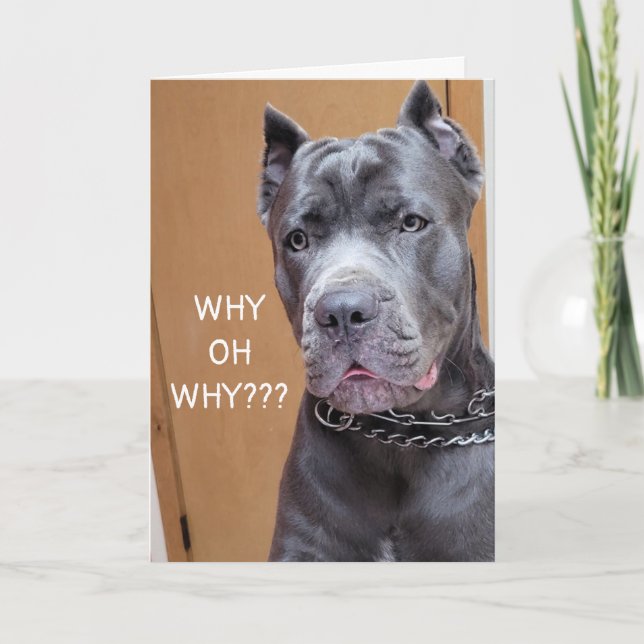 HE SAYS WHY OH WHY "70th BIRTHDAY" HUMOR Card (Front)