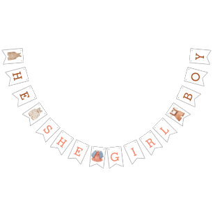 He She Girl Boy Gender Reveal bunting banner