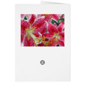 He who plants a garden plants happiness. NC WT (Back)