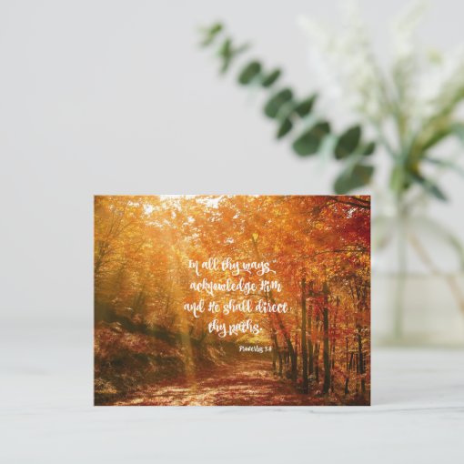 He Will Direct Your Path Bible Verse Postcard | Zazzle