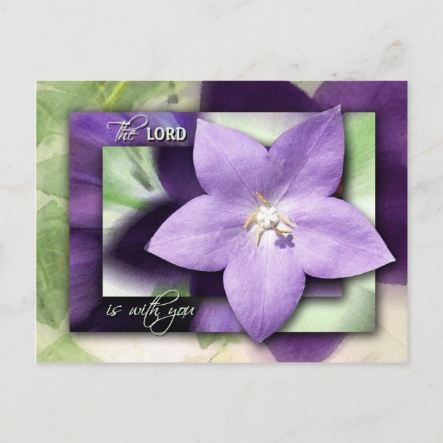 He Will Quiet You with His Love Postcard (Front)