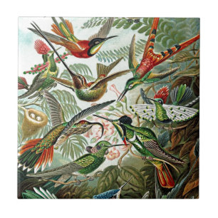 Heackel Nature Art Bird Design Hummingbirds Ceramic Tile