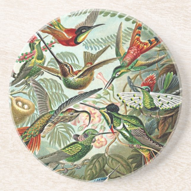 Heackel Nature Art Bird Design Hummingbirds Sandstone Coaster (Front)