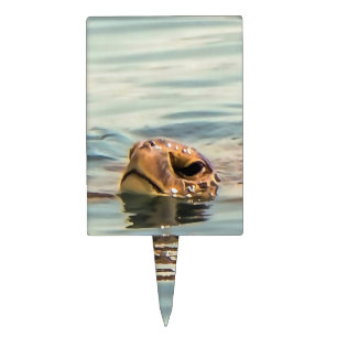 Head Above Water Turtle Ocean Wildlife Art Cake Topper