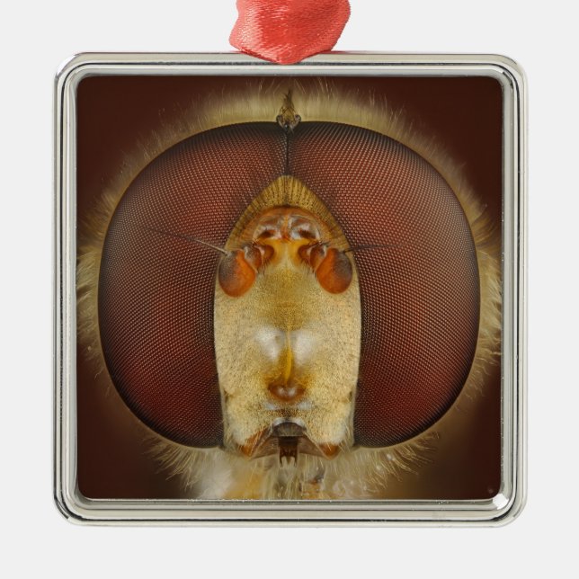 Head and Compound Eyes of a Hover Fly Metal Ornament (Front)