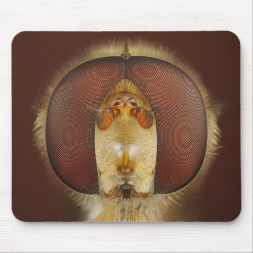 Head and Compound Eyes of a Hover Fly Mouse Pad