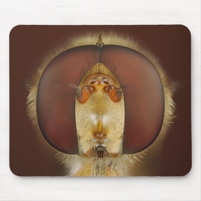 Head and Compound Eyes of a Hover Fly Mouse Pad (Front)