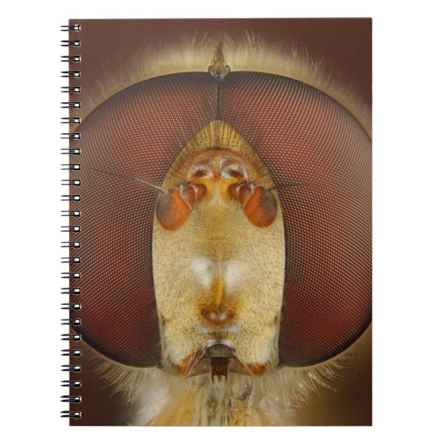 Head and Compound Eyes of a Hover Fly Notebook (Front)
