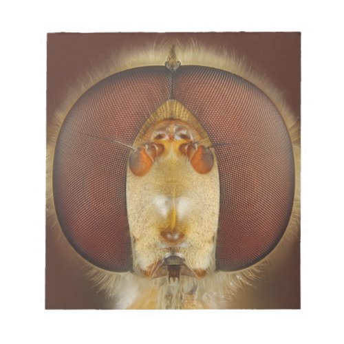 Head and Compound Eyes of a Hover Fly Notepad