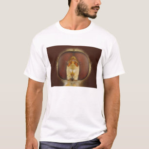 Head and Compound Eyes of a Hover Fly T-Shirt