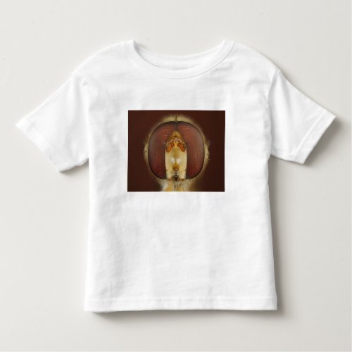 Head and Compound Eyes of a Hover Fly Toddler T_shirt