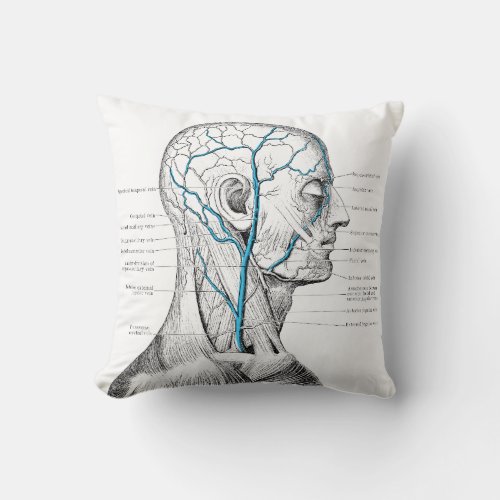 Head and veins _ anatomy throw pillow