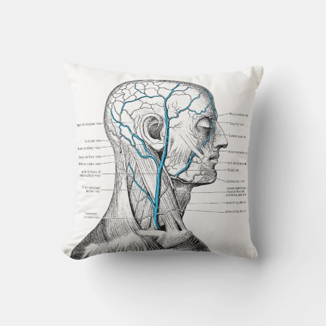 Head and veins - anatomy throw pillow (Front)